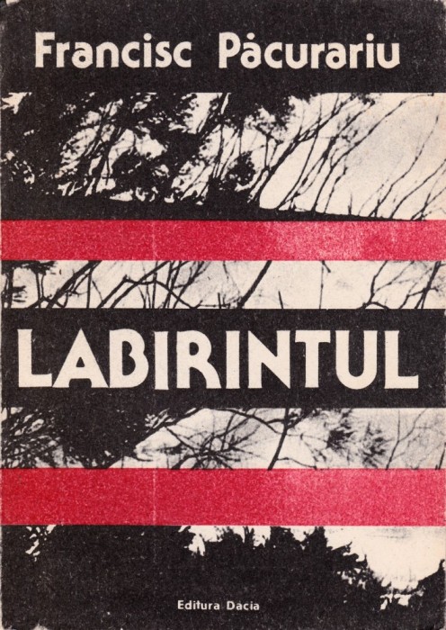 Labirintul