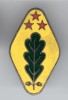 Padurarar Evidentiat - Agricultura, Silvicultura, Industria forestiera Insigna