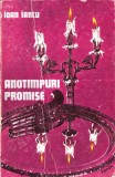 Anotimpuri promise