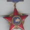 FRUNTAS in INTRECEREA SOCIALISTA pe anul 1966 Insigna email