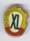 PROMOTIE OFITERI 1942-1982 Insigna MILITARA