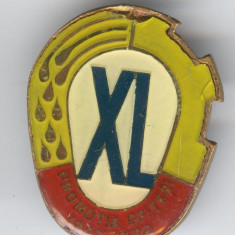 PROMOTIE OFITERI 1942-1982 Insigna MILITARA