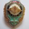 Insigna militar excelent aviatie Rusia anii 90