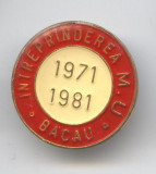 INTREPRINDEREA MASINI UNELTE din BACAU Insigna Aniversare 1971-1981