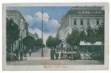 3748 - BRAILA, Royalty street - old postcard - unused, Necirculata, Printata