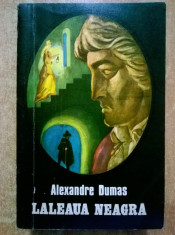 Alexandre Dumas ? Laleaua neagra foto