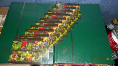 set timbre romania 10 colite . pesti 2005 foto