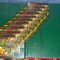 set timbre romania 10 colite . pesti 2005