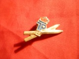 Insigna sportiva- SKI - TP IV , metal si email , L= 3,1 cm