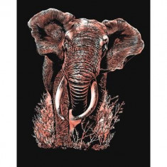 Poster cu elefant, KSG Artfoil foto