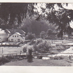 bnk cp Covasna - Casa de odihna - circulata