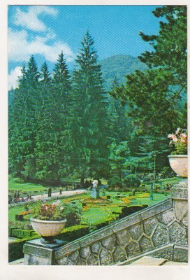 bnk cp Slanic Moldova - Vedere din parc - necirculata foto