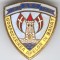 Insigna Aniversare - GOSPODARIREA APELOR in BANAT 1732-1982, email superba !!