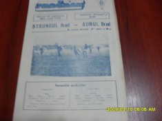 program Strungul Arad - Aurul Brad