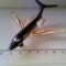 Matchbox avion Cessna Citation X