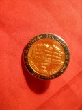 Insigna Liceul Stefan cel Mare Suceava - 125 Ani , metal si email , h= 3 cm