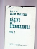 RASINI DE HIDROCARBURI -VOL 1