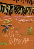 Țara &icirc;nvăluită &icirc;n parfumul rășinilor