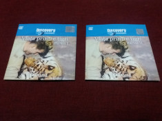 DVD DISCOVERY VIATA PRINTRE TIGRI 2 DVD foto