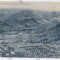 65 - NEHOIU, Buzau, fabrica de cherestea, Romania - old postcard - unused