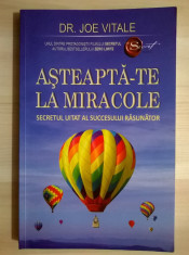 Joe Vitale - Asteapta-te la miracole foto