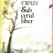 Sub cerul liber