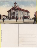 Constanta- Primaria