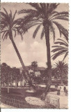 (A1) carte postala-FRANTA-Nice-Les Palmiers des Jardins, Circulata, Printata