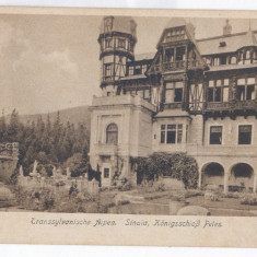 4294 - SINAIA, Peles Tower, Romania - old postcard - unused