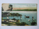 Rara! Carte postala necirculata Ceylon(Sri Lanka)-Colombo circa 1907, Printata