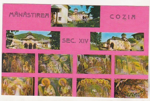 bnk cp Manastirea Cozia - Vedere - necirculata