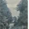 (A) carte postala(ilustrata)-GERMANIA-Gohren-Schlucht