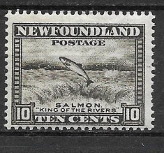 Newfoundland 1932 MNH foto