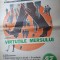 ziarul veac nou 24 noiembrie 1972- art. &quot; virtutile mersului &quot;