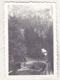 bnk foto - Lacul Rosu - 1971