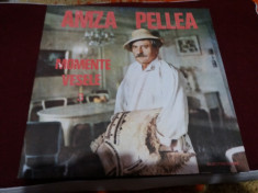 DISC VINIL AMZA PELLEA - MOMENTE VESELE 3 foto