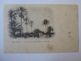 Carte postala necirculata Sahara Algeriana aprox.1910, Printata