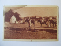 Carte postala Algeria/desert necirculata 1930 foto