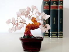 Copacel Feng-shui cuart roz foto