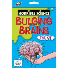 Bulging Brains - Kit Experiment Creierul Uman foto