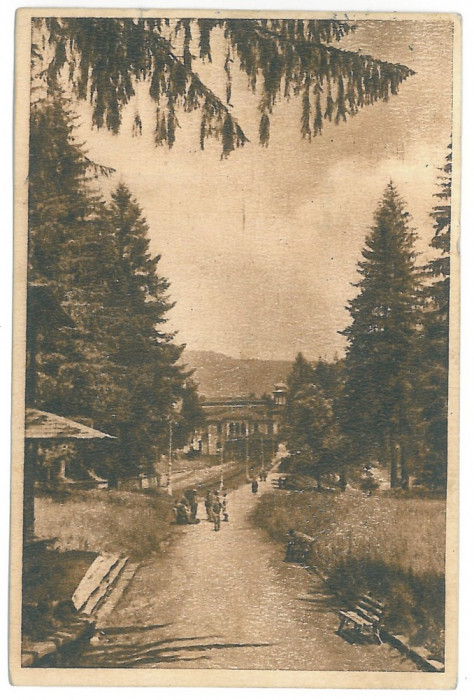 546 - SLANIC MOLDOVA, Bacau, Romania - old postcard - used - 1951