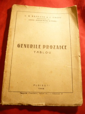C.M.Rapeanu si C.Enciu - Tablou - Genurile prozaice -Ed. Ploiesti 1946 foto