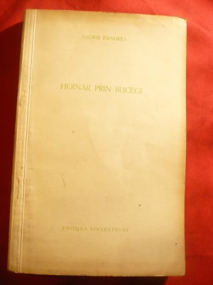 Andrei Pandrea - Hoinar prin Bucegi - Prima Ed. -Tineretului 1957 foto