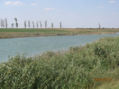 Balta pescuit, deosebita, in jud. Ialomita: Rovine II foto