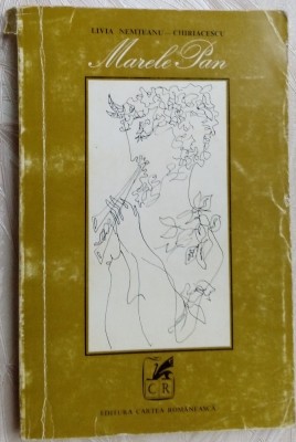LIVIA NEMTEANU-CHIRIACESCU: MARELE PAN (POEZII 1973/tiraj 500/coperta DONE STAN) foto