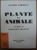 Ilarie Voronca, Plante si animale cu desene de Constantin Brancusi avangarda