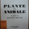 Ilarie Voronca, Plante si animale cu desene de Constantin Brancusi avangarda