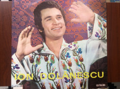 ion dolanescu cine intra n persinari album disc vinyl lp muzica populara folclor foto