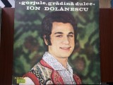 Ion dolanescu gorjule gradina dulce disc vinyl muzica populara folclor EPE 0990, VINIL, Electrecord