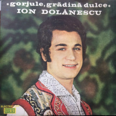 ion dolanescu gorjule gradina dulce disc vinyl muzica populara folclor EPE 0990